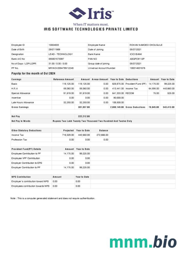 Iris Software Technologies payslip template w formatach Word i PDF